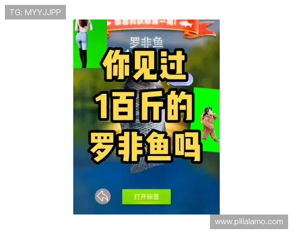 博鱼官网客户端下载指南,操作简单快速让你随时随地享受精彩游戏与优惠活动